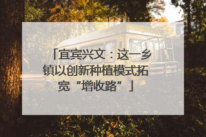 宜宾兴文：这一乡镇以创新种植模式拓宽“增收路”