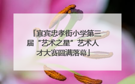 宜宾忠孝街小学第三届“艺术之星”艺术人才大赛圆满落幕