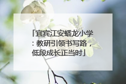 宜宾江安蟠龙小学：教研引领书写路，低段成长正当时