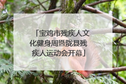 宝鸡市残疾人文化健身周暨陇县残疾人运动会开幕