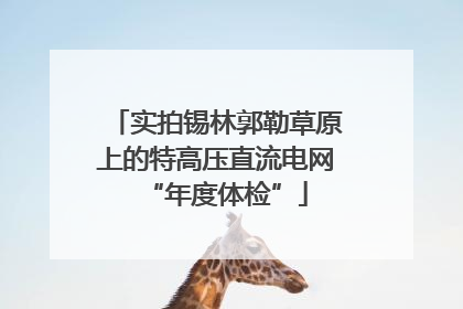 实拍锡林郭勒草原上的特高压直流电网“年度体检”