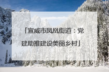 宣威市凤凰街道：党建助推建设美丽乡村