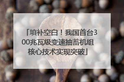 填补空白！我国首台300兆瓦级变速抽蓄机组核心技术实现突破