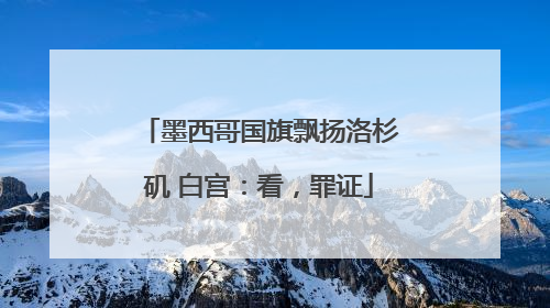 墨西哥国旗飘扬洛杉矶 白宫：看，罪证