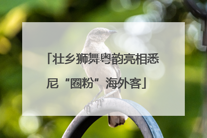 壮乡狮舞粤韵亮相悉尼“圈粉”海外客