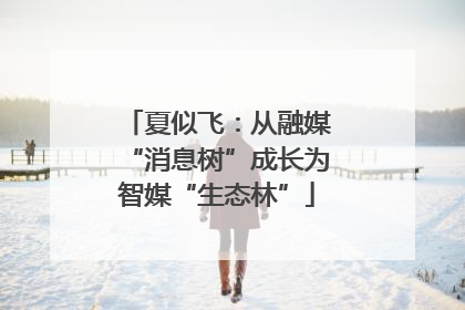 夏似飞：从融媒“消息树”成长为智媒“生态林”