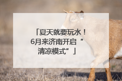 夏天就要玩水！6月来济南开启“清凉模式”
