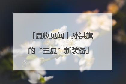 夏收见闻丨孙洪旗的“三夏”新装备
