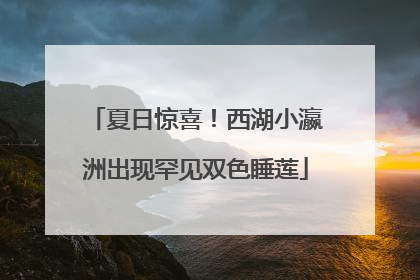 夏日惊喜！西湖小瀛洲出现罕见双色睡莲