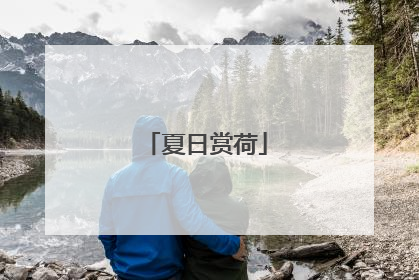 夏日赏荷