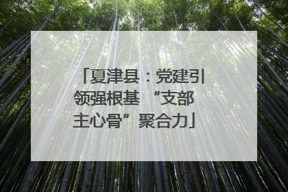 夏津县：党建引领强根基 “支部主心骨”聚合力