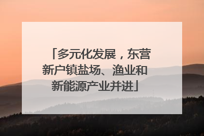 多元化发展，东营新户镇盐场、渔业和新能源产业并进