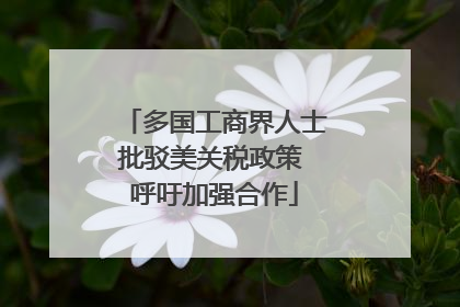 多国工商界人士批驳美关税政策 呼吁加强合作