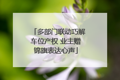 多部门联动巧解车位产权 业主赠锦旗表达心声