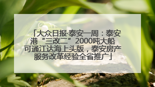 大众日报·泰安一周：泰安港“三改二”2000吨大船可通江达海上头版，泰安房产服务改革经验全省推广