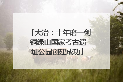 大冶：十年磨一剑 铜绿山国家考古遗址公园创建成功