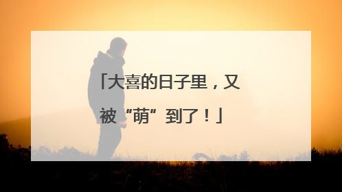 大喜的日子里，又被“萌”到了！