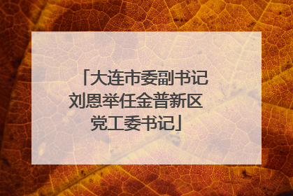 大连市委副书记刘恩举任金普新区党工委书记