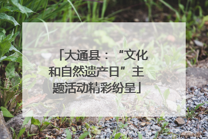 大通县：“文化和自然遗产日”主题活动精彩纷呈