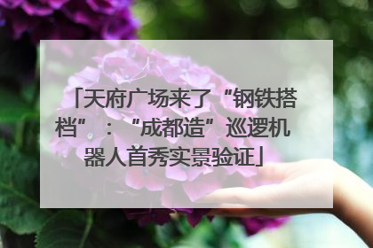 天府广场来了“钢铁搭档”：“成都造”巡逻机器人首秀实景验证