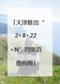 天津推出“2+8+22+N”四级消费商圈