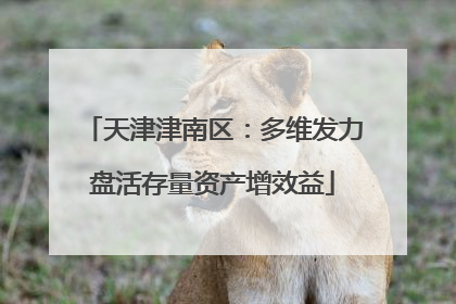 天津津南区：多维发力盘活存量资产增效益