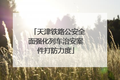 天津铁路公安全面强化列车治安案件打防力度