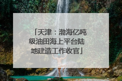天津：渤海亿吨级油田海上平台陆地建造工作收官