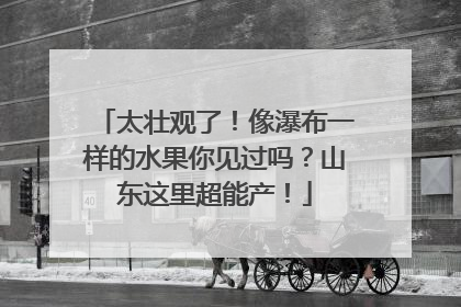 太壮观了！像瀑布一样的水果你见过吗？山东这里超能产！