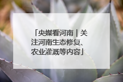 央媒看河南｜关注河南生态修复、农业灌溉等内容
