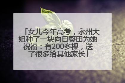 女儿今年高考，永州大姐种了一块向日葵田为她祝福：有200多棵，送了很多给其他家长