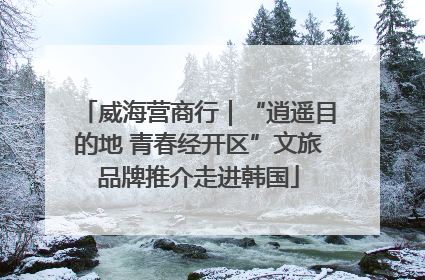 威海营商行｜“逍遥目的地 青春经开区”文旅品牌推介走进韩国