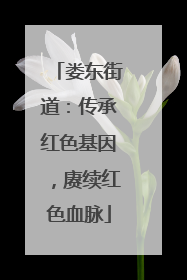 娄东街道：传承红色基因，赓续红色血脉