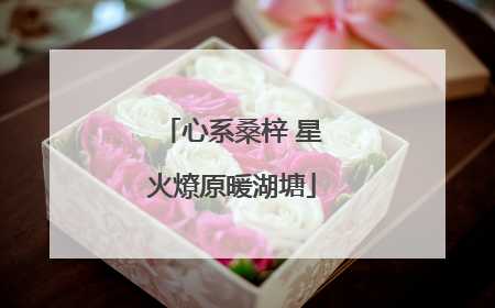 心系桑梓 星火燎原暖湖塘