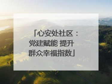 心安处社区：党建赋能 提升群众幸福指数