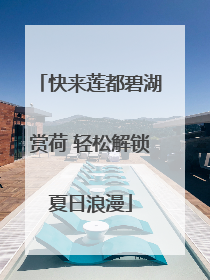 快来莲都碧湖赏荷 轻松解锁夏日浪漫