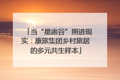当“星露谷”照进现实：康旅集团乡村旅居的多元共生样本