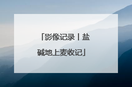影像记录丨盐碱地上麦收记