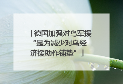德国加强对乌军援 “是为减少对乌经济援助作铺垫”