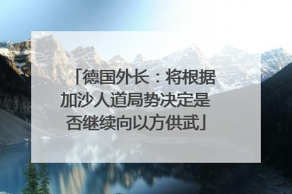 德国外长：将根据加沙人道局势决定是否继续向以方供武