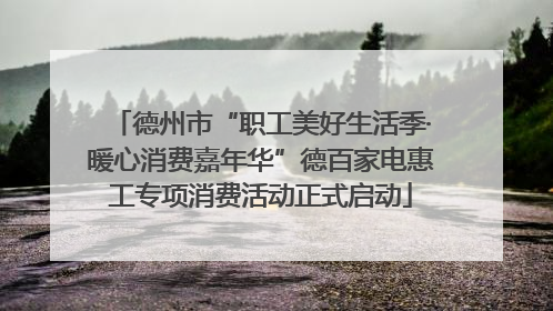 德州市“职工美好生活季·暖心消费嘉年华”德百家电惠工专项消费活动正式启动
