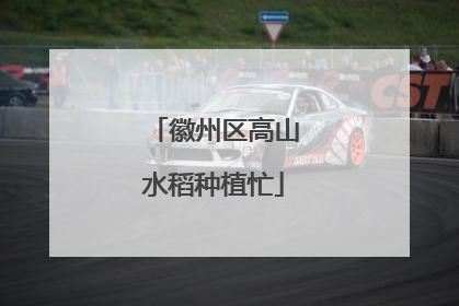 徽州区高山水稻种植忙
