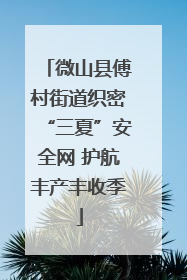 微山县傅村街道织密“三夏”安全网 护航丰产丰收季