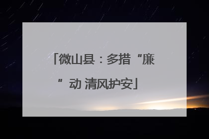 微山县：多措“廉”动 清风护安