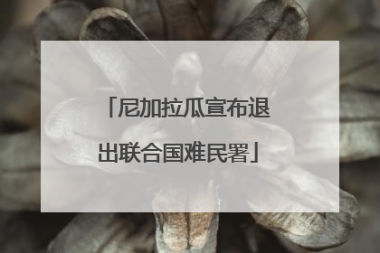 尼加拉瓜宣布退出联合国难民署