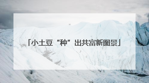 小土豆“种”出共富新图景