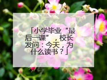 小学毕业“最后一课”，校长发问：今天，为什么读书？