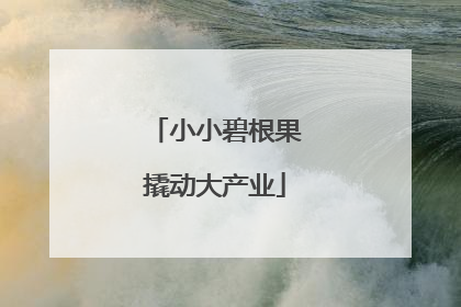 小小碧根果撬动大产业