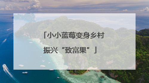 小小蓝莓变身乡村振兴“致富果”