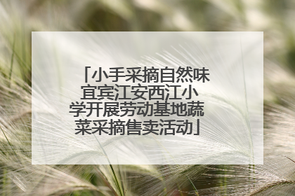 小手采摘自然味 宜宾江安西江小学开展劳动基地蔬菜采摘售卖活动
